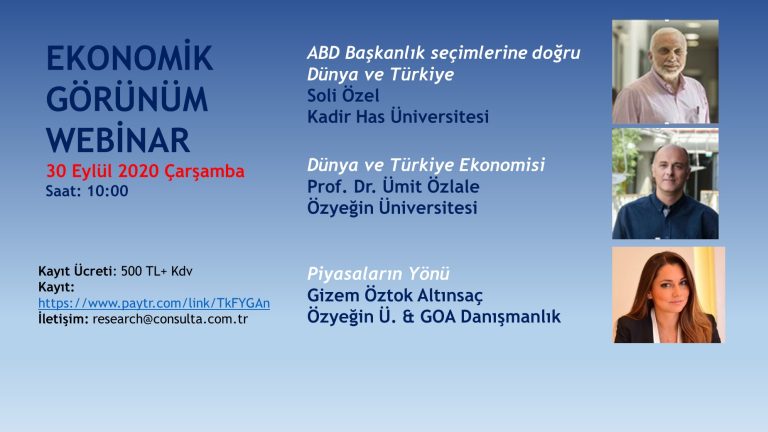 30 Eylül Consulta Araştırma Ekonomik Görünüm Webinar