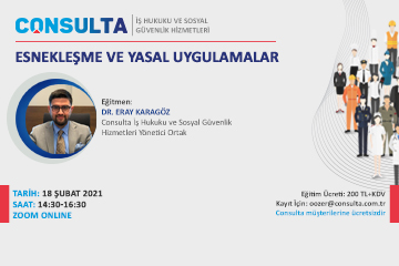 Esnekleşme ve Yasal Uygulamalar