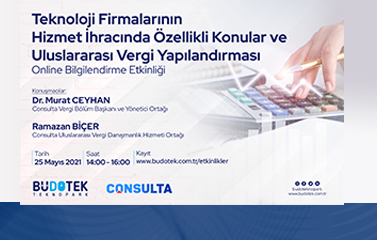 Teknoloji Firmalarının Hizmet İhracında Özellikli Konular